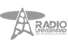 Radio UDG